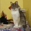 Отзыв от Эльмира Зубова